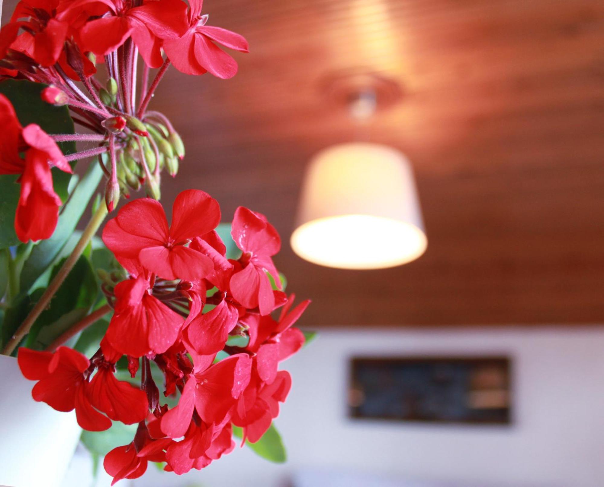 Kehagias Apartments Vrasná Екстериор снимка